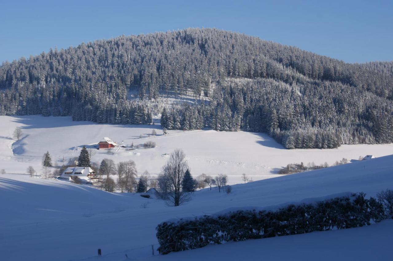 Zur Traube Schwarzwaldhotel & Restaurant Am Titisee Sankt Margen Luaran gambar